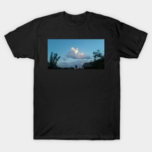 Neighborhood Cloud: Blue T-Shirt